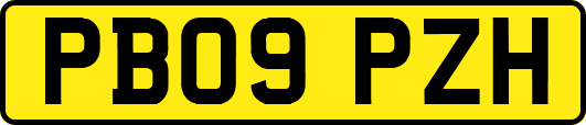 PB09PZH