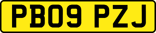 PB09PZJ