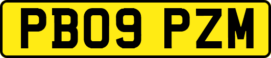 PB09PZM