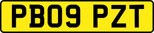 PB09PZT