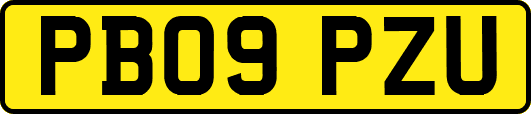 PB09PZU