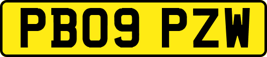 PB09PZW