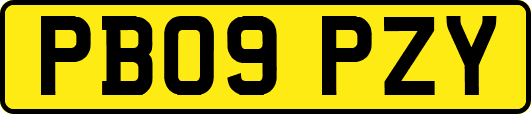 PB09PZY