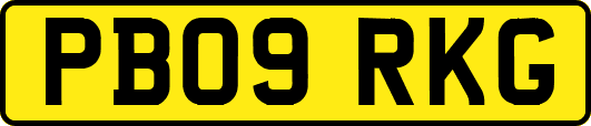 PB09RKG