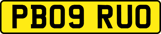 PB09RUO
