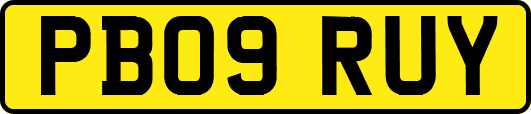 PB09RUY