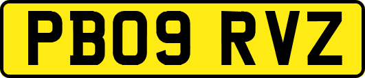 PB09RVZ