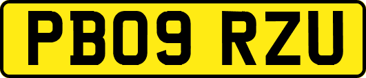 PB09RZU