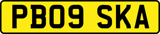 PB09SKA