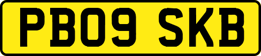 PB09SKB