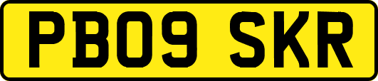PB09SKR