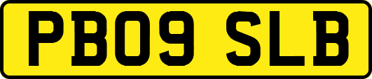 PB09SLB