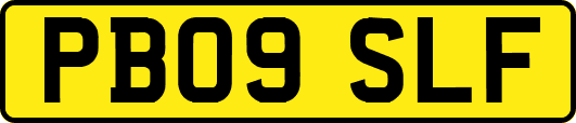PB09SLF