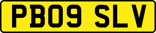 PB09SLV