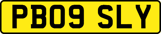 PB09SLY