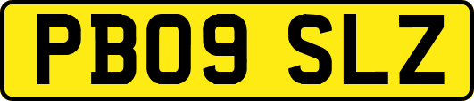 PB09SLZ