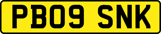PB09SNK