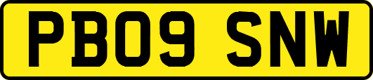 PB09SNW