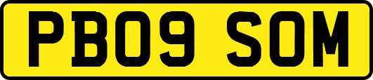 PB09SOM
