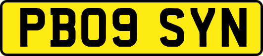 PB09SYN