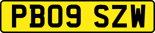 PB09SZW