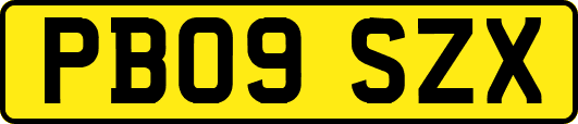 PB09SZX
