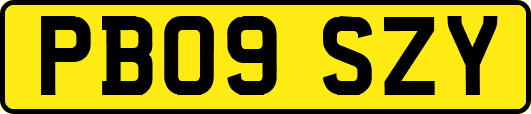 PB09SZY