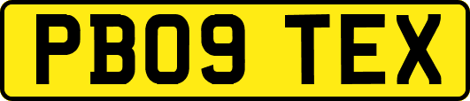 PB09TEX