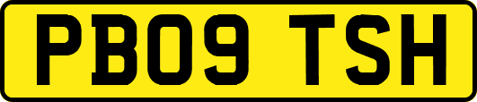 PB09TSH