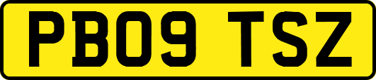 PB09TSZ