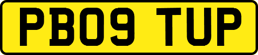 PB09TUP