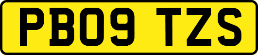 PB09TZS