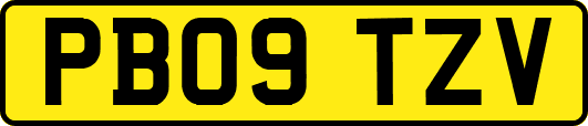 PB09TZV