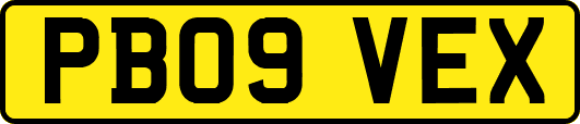 PB09VEX