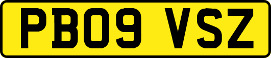 PB09VSZ