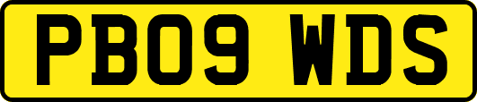 PB09WDS