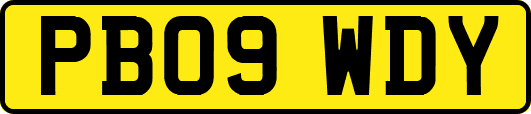 PB09WDY