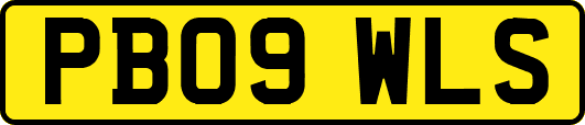 PB09WLS