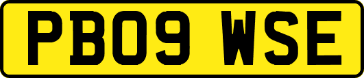 PB09WSE
