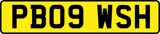 PB09WSH