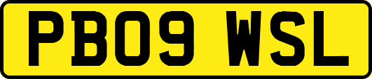 PB09WSL
