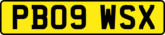 PB09WSX
