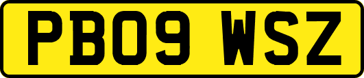 PB09WSZ