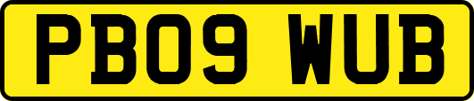 PB09WUB