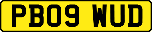 PB09WUD