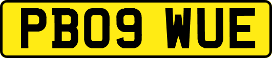 PB09WUE