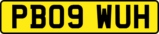 PB09WUH