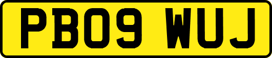 PB09WUJ