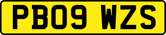 PB09WZS