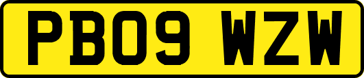 PB09WZW